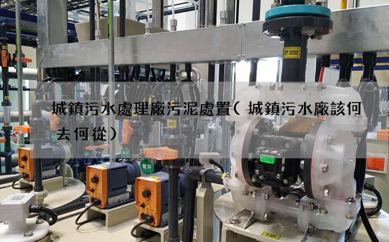 城鎮污水處理廠污泥處置(城鎮污水廠該何去何從)